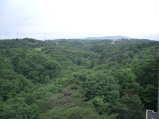 青葉山と竜ノ口沢