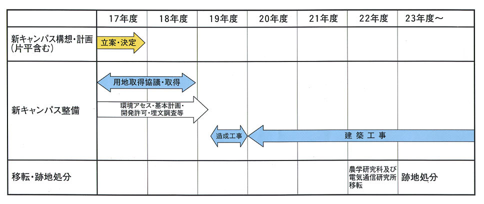 スケジュール